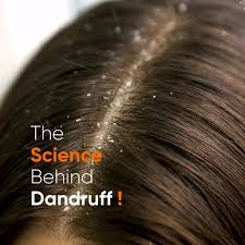 Dandruff treatment